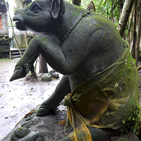 Photo de Bali - Balade, Garuda et spectacle